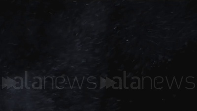 Scene from Antidroga, sequestrate 91 tonnellate di stupefacenti nel 2021