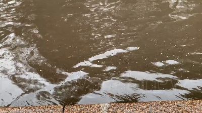 Scene from Maltempo Milano, allagamenti e disagi anche in via Legnano