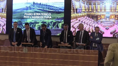Scene from Legge elettorale, Salvini: "Accordo con Pd? Solo se si vota subito"