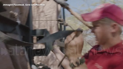 Scene from Kenya, la giraffa Asiwa salvata con una zattera