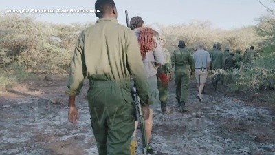 Scene from Kenya, la giraffa Asiwa salvata con una zattera