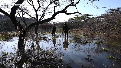 Scene from Kenya, la giraffa Asiwa salvata con una zattera