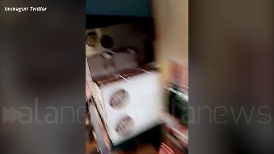 Scene from Terremoto in Croazia, bottiglie cadute dagli scaffali nelle corsie di un supermercato