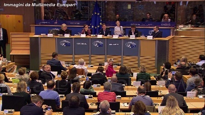 Scene from Greta: "Questa legge sul clima è dichiarazione resa"