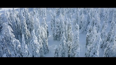 Scene from Milano Cortina 2026, gli spot con i loghi dei XXV Giochi olimpici invernali