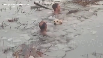 Scene from Spagna, due agenti si tuffano nel lago ghiacciato per salvare un cane