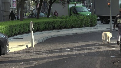 Scene 1827-1964