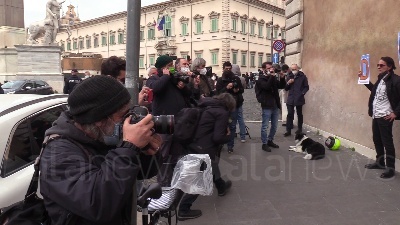 Scene from Governo, flash mob davanti al Quirinale: "Draghi presidente"