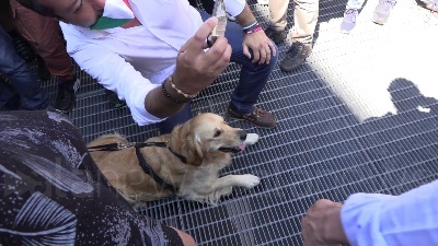 Scene from Salvini a Milano, tra i selfie spunta anche un cane