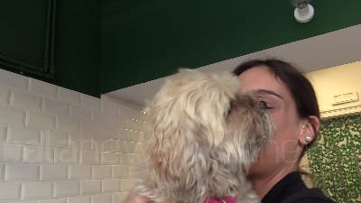 Scene from Dog's Bistrot, il negozio che consegna cibo a domicilio per i cani