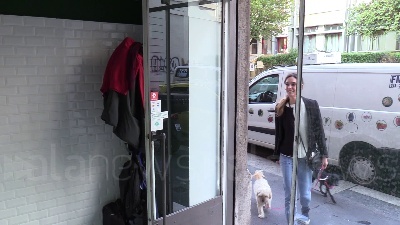 Scene from Dog's Bistrot, il negozio che consegna cibo a domicilio per i cani