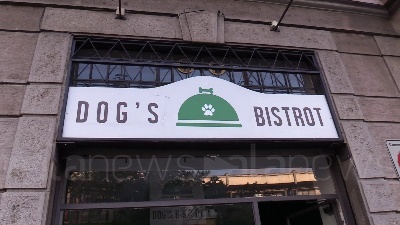 Scene from Dog's Bistrot, il negozio che consegna cibo a domicilio per i cani