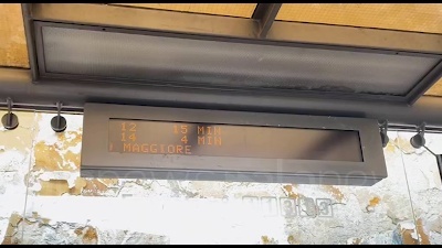 Scene from Nubifragio a Milano: alberi sradicati e linee dei tram deviate