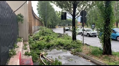 Scene from Nubifragio a Milano: alberi sradicati e linee dei tram deviate