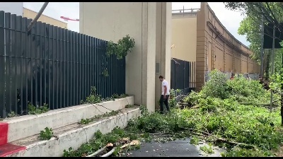 Scene from Nubifragio a Milano: alberi sradicati e linee dei tram deviate