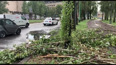 Scene from Nubifragio a Milano: alberi sradicati e linee dei tram deviate