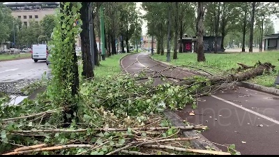 Scene from Nubifragio a Milano: alberi sradicati e linee dei tram deviate