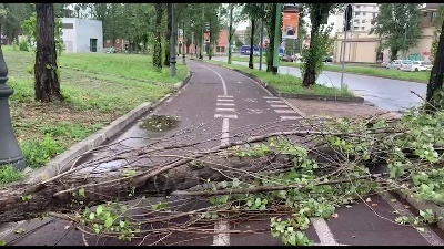 Scene from Nubifragio a Milano: alberi sradicati e linee dei tram deviate
