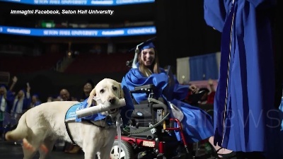 Scene from Usa, accompagna la sua padrona a tutte le lezioni: cane guida riceve la laurea