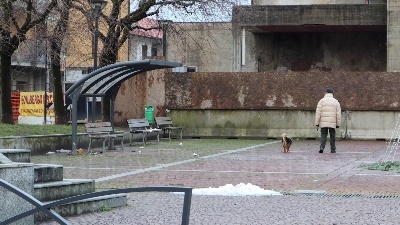 Scene from Petardo inesploso ferisce bambino a Brugherio