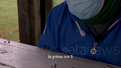 Scene 3444-3831