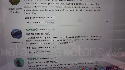 Scene from Questura chiude Tonnarello, clienti: "Pensavamo fosse in ristrutturazione"