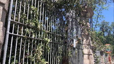 Scene from Nubifragio a Milano, i commercianti: "Allagamenti e disagi nelle consegne"