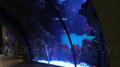 Scene 2402-2769