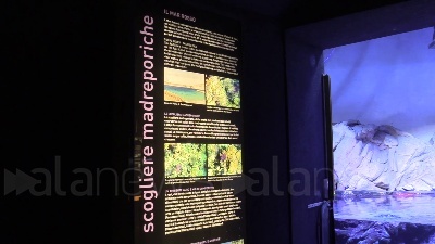 Scene 930-1229