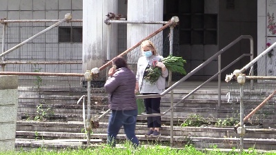 Scene from Fase 2, riaperti i cimiteri a Milano: si torna a far visita ai defunti