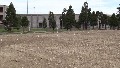 Scene from Fase 2, riaperti i cimiteri a Milano: si torna a far visita ai defunti