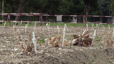 Scene from Fase 2, riaperti i cimiteri a Milano: si torna a far visita ai defunti