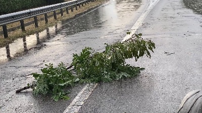 Scene from Torna il maltempo nel Milanese: temporali e forti raffiche di vento