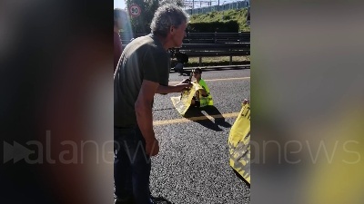 Scene from Ambientalisti bloccano la Tangenziale est a Milano, tensione con gli automobilisti