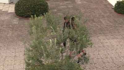Scene from Europa League, la Roma si allena alla vigilia del match col Gent