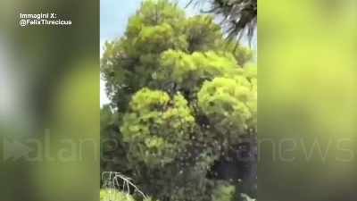 Scene from Grecia, scontro tra due elicotteri antincendio sulla Psatha: le immagini