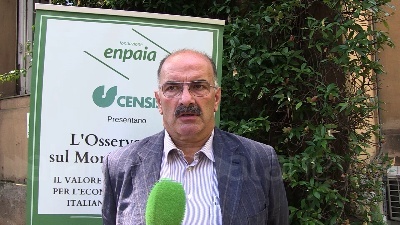 Scene from Agricoltura, Enpaia- Censis:Settore in salute servono infrastrutture e liquidità