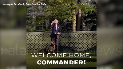 Scene from "Benvenuto Commander": il nuovo cane di Biden arriva alla Casa Bianca