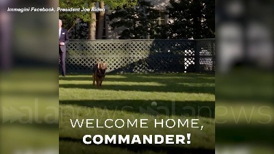Scene from "Benvenuto Commander": il nuovo cane di Biden arriva alla Casa Bianca