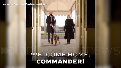 Scene from "Benvenuto Commander": il nuovo cane di Biden arriva alla Casa Bianca