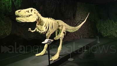Scene from A Milano The Art of the Brick, 100 sculture con i Lego