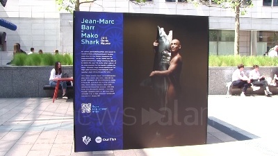 Scene from Pesca, Inaugurata l'esposizione 'Fishlove' contro l'overfishing davanti al Parlamento europeo