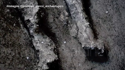 Scene 1202-1237