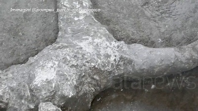 Scene from Pompei restituisce i corpi integri di due fuggiaschi